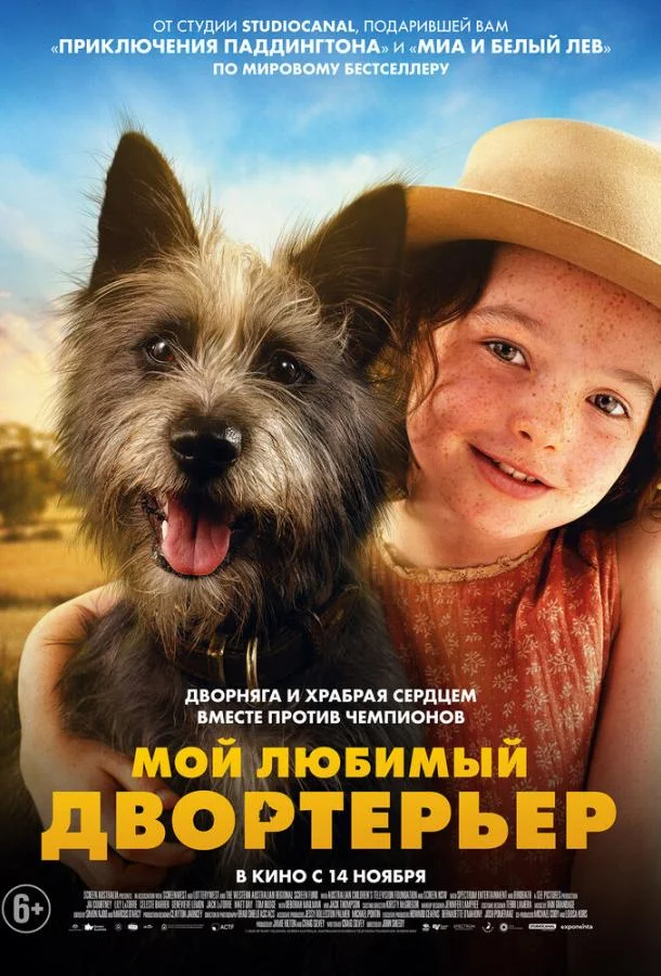 Мой любимый двортерьер смотреть онлайн